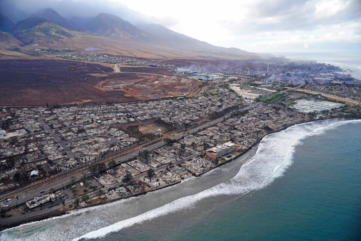 Maui wildfires