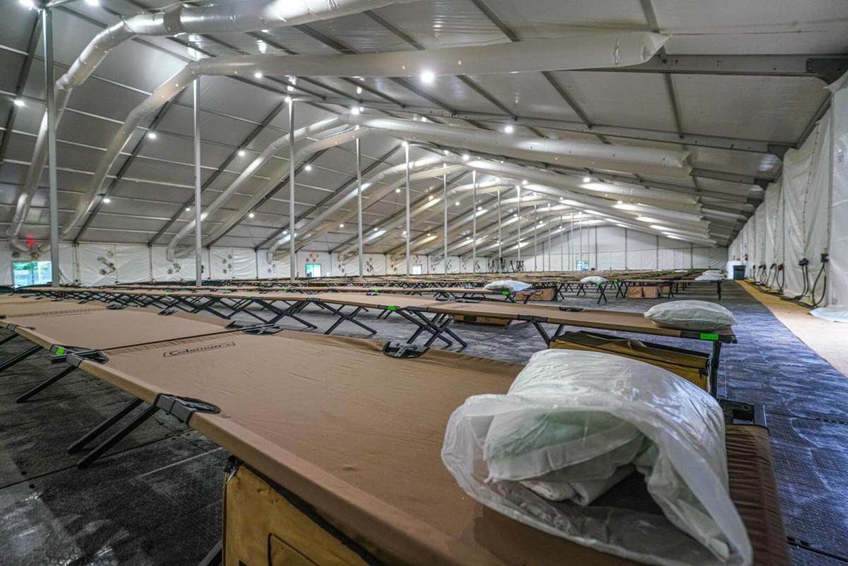 Cots at migrant shelter in Queens