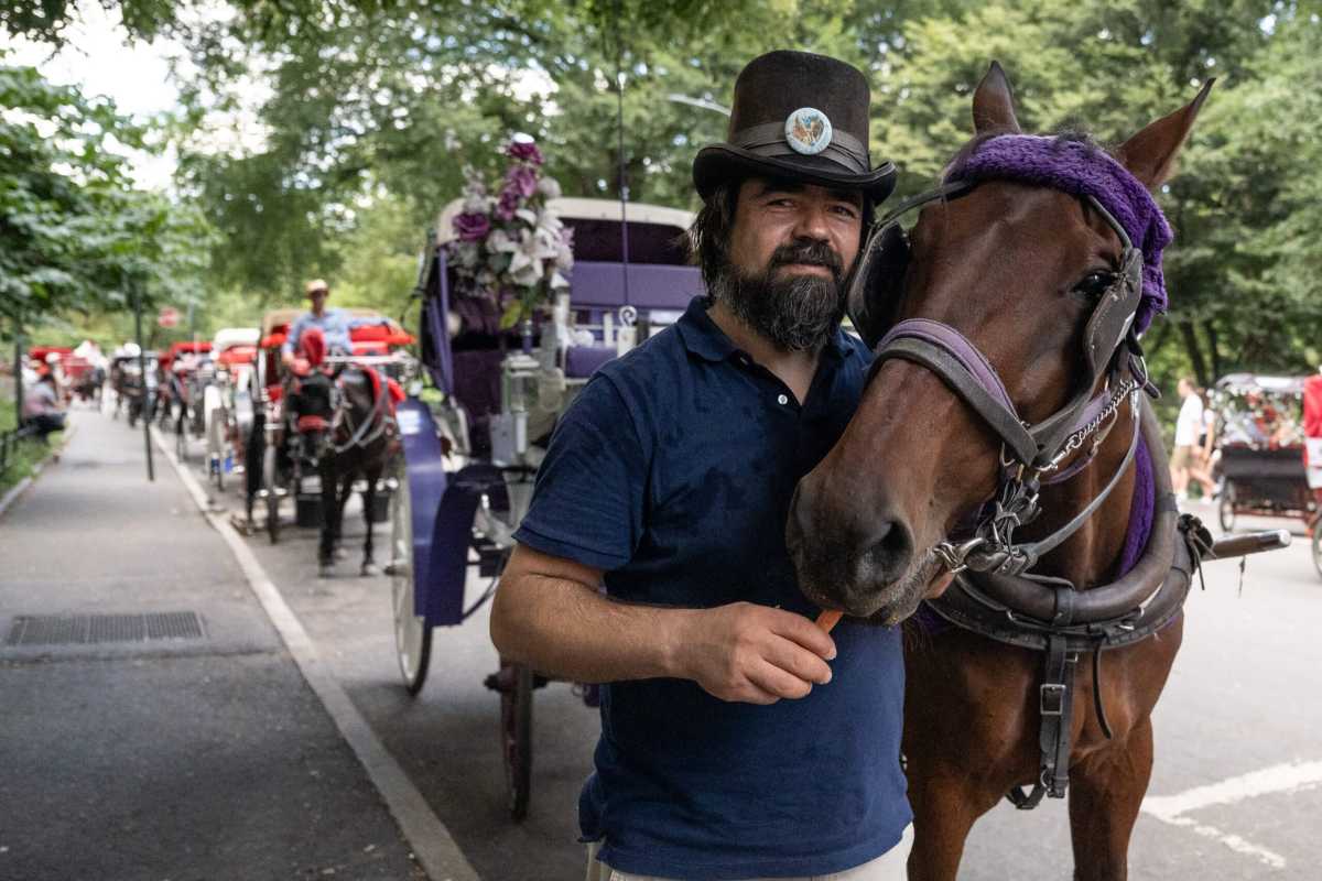 NY: Horse Carriage Industry – Part 2