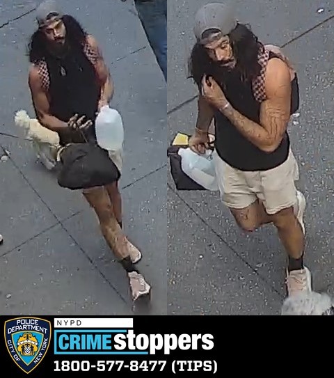 Buff brute who punched senior man on Upper West Side