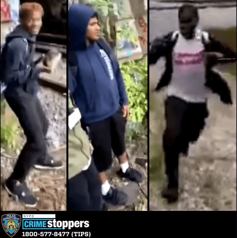 Cops are searching for three vandals who threw a brick at a D train