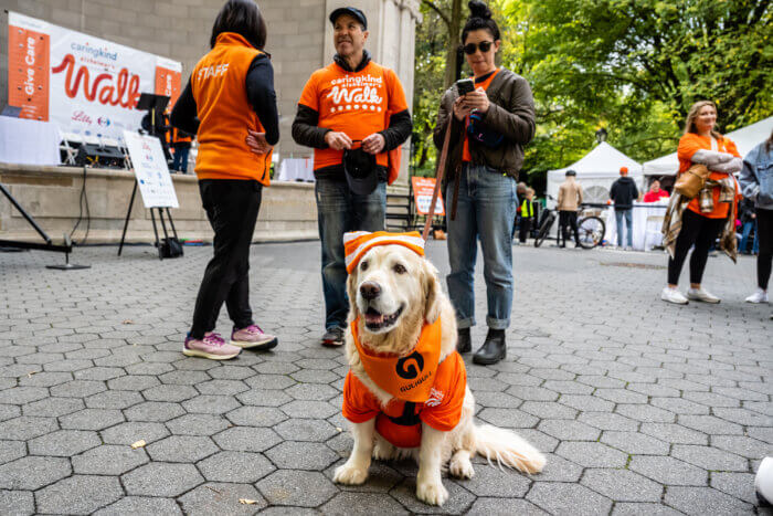 CaringKind holds 35th annual walk for Alzheimer's in Central Park 11