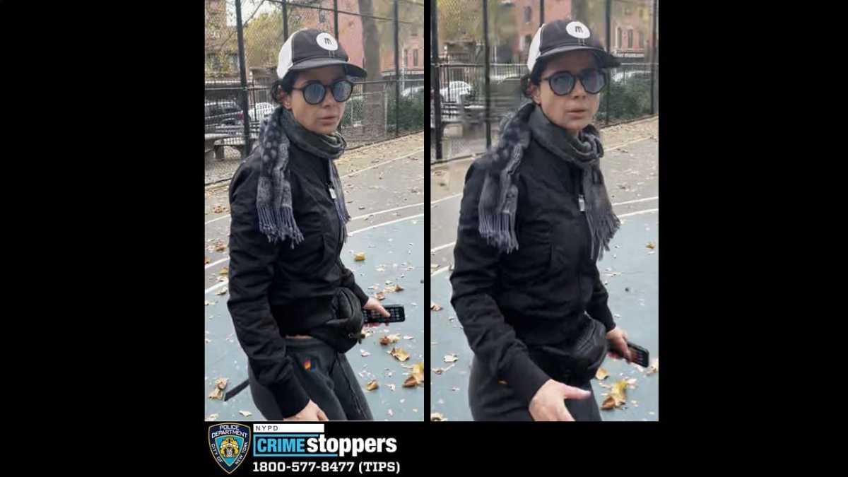 The suspect in the Brooklyn hate crime.