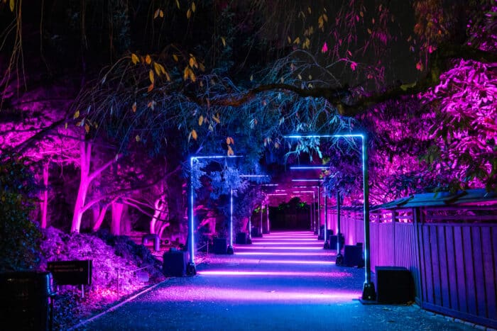 BBG Lightscape 2023 – Half Arches – Culture Creative