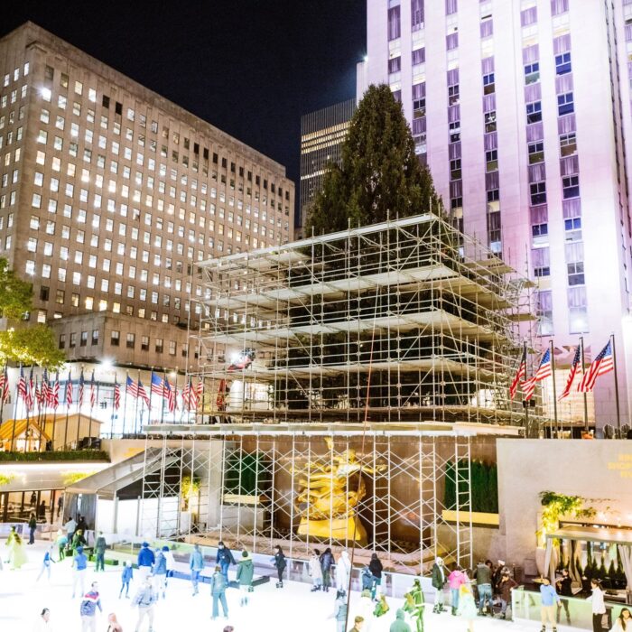 This year’s tree will be lit at the annual “Christmas in Rockefeller Center” telecast on Nov 29.