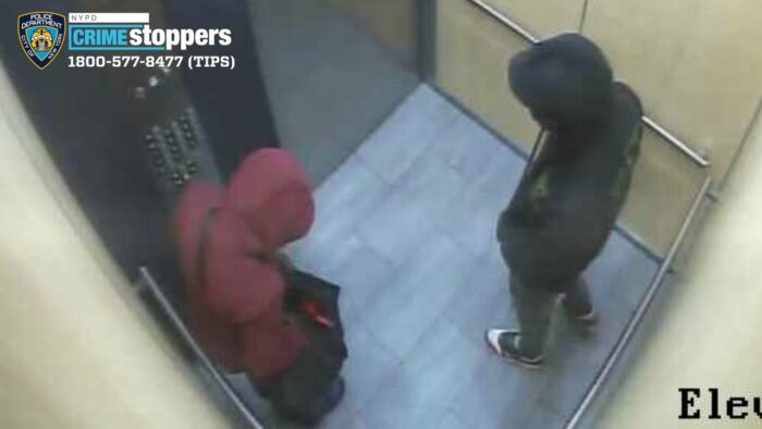 The suspected dognappers who stole six puppies from a Bronx apartment.