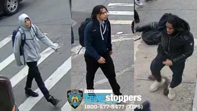 The suspects stabbed an 18-year-old and assaulted a 16-year-old during the robbery in the Bronx.