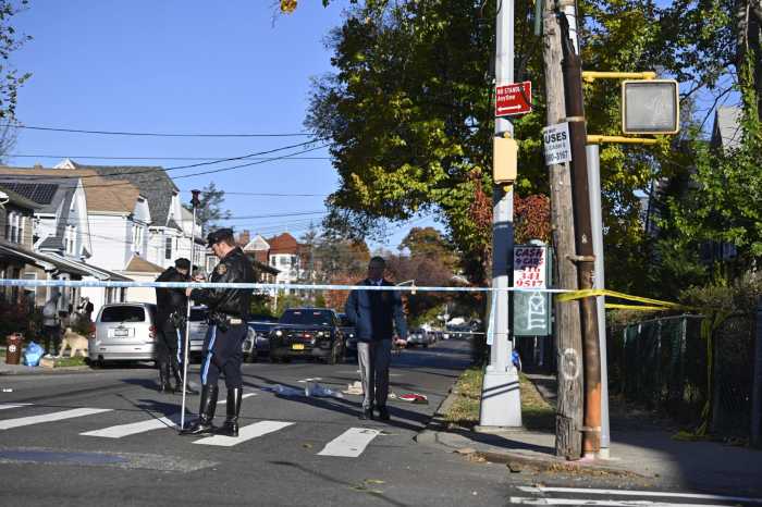 hit-and-run drivers in Queens