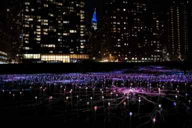 View of the Field of Light in Midtown
