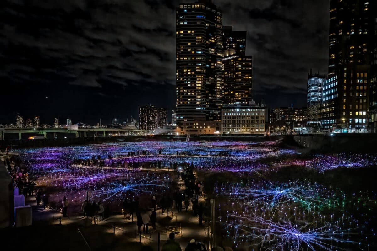 Field of Light by artist Bruce Munro at Freedom Plaza in Manhattan