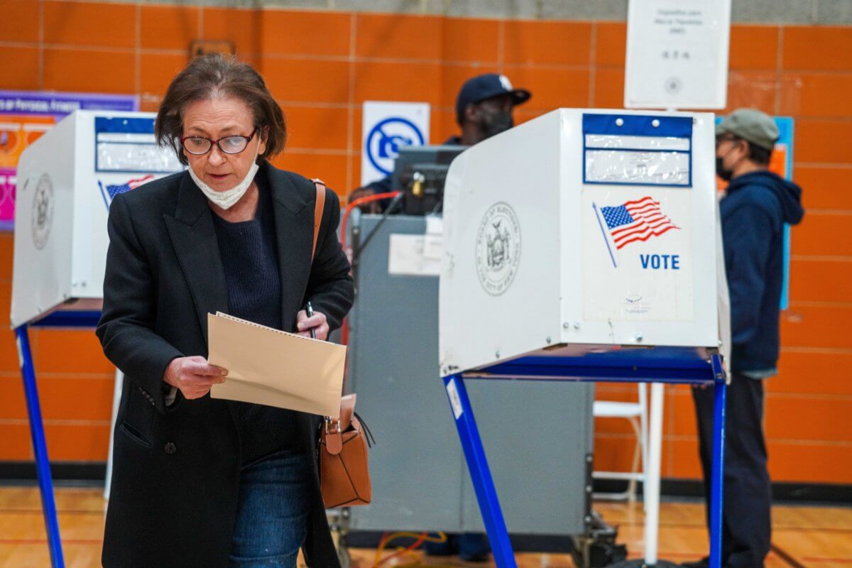 Voter at Congressional district election