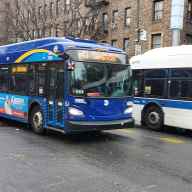 Buses going by shelter on Flatbush Avenue in Brooklyn