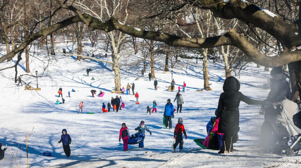 Sledding on snowy hill in Central Park after winter storm