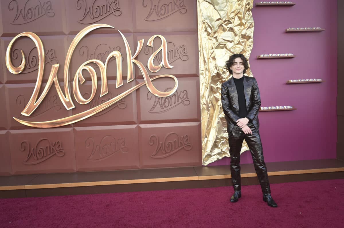Wonka and Timothee Chalamet win at box office