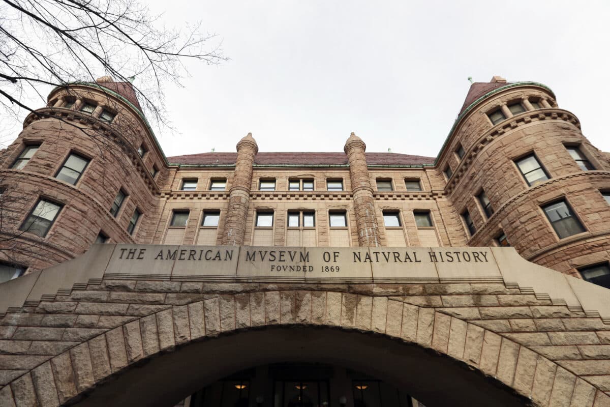 American Museum of Natural History