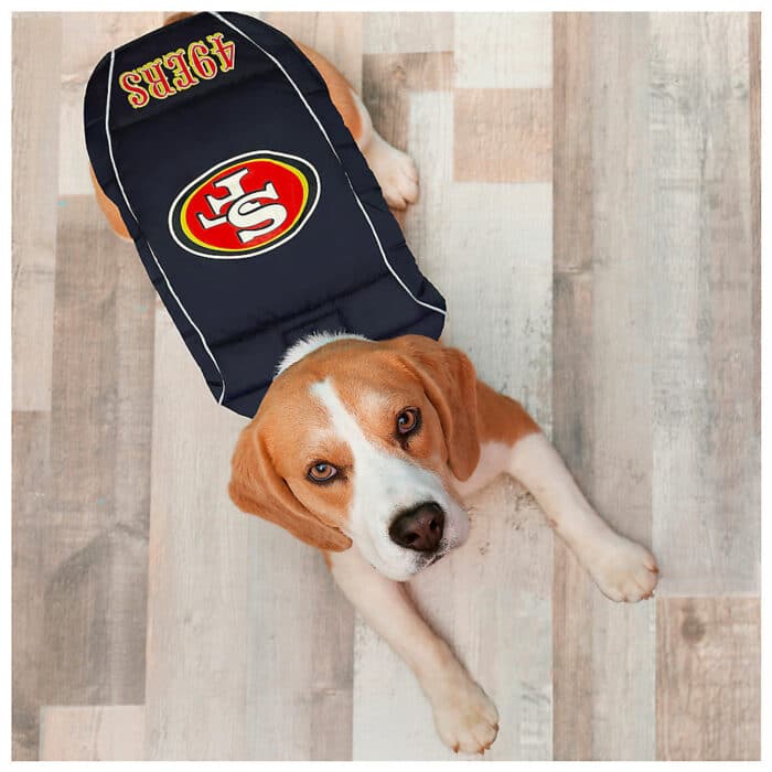 Petsmart | NFL Pet Gear | Super Bowl 2024 | amNY