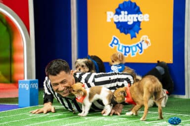 This image released by Animal Planet shows referee Dan Schachner with participants of the annual “Puppy Bowl”
