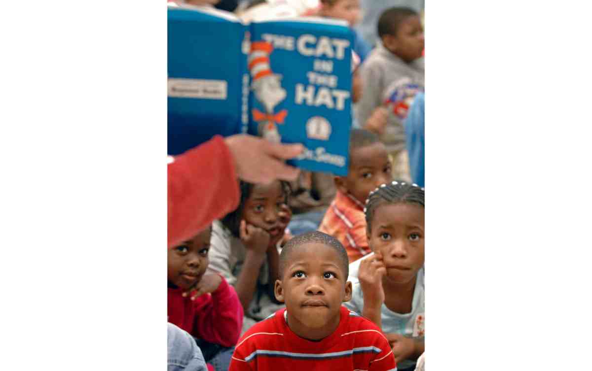 Cat in the Hat Giveaway