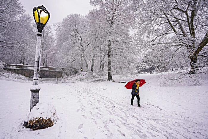 New Yorker experiences snow in Central Park