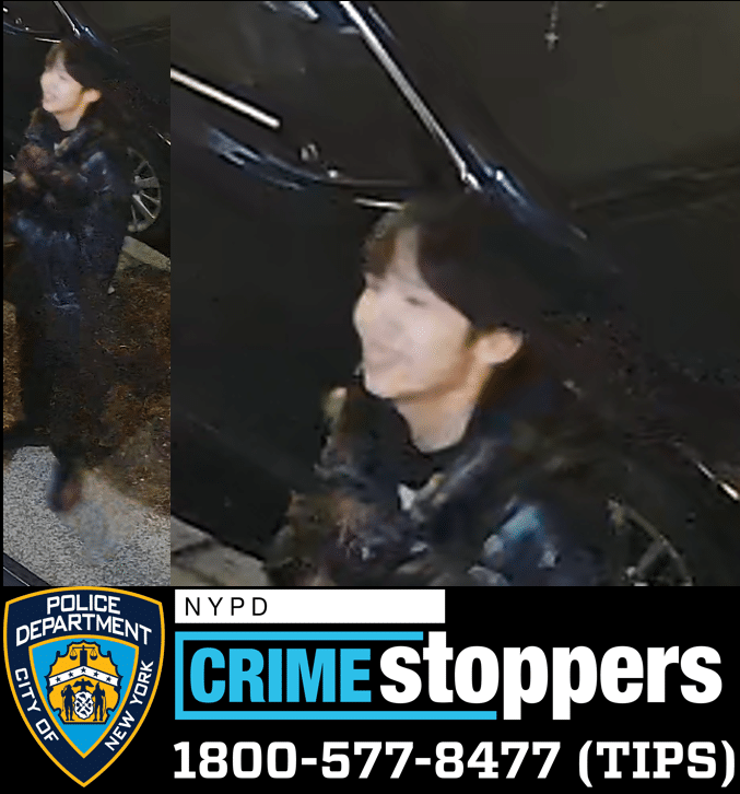 Brooklyn home invasion: Cops nab one suspect, seek another in violent attack that left men Tasered and shot 3 Suspect in Brooklyn home invasion