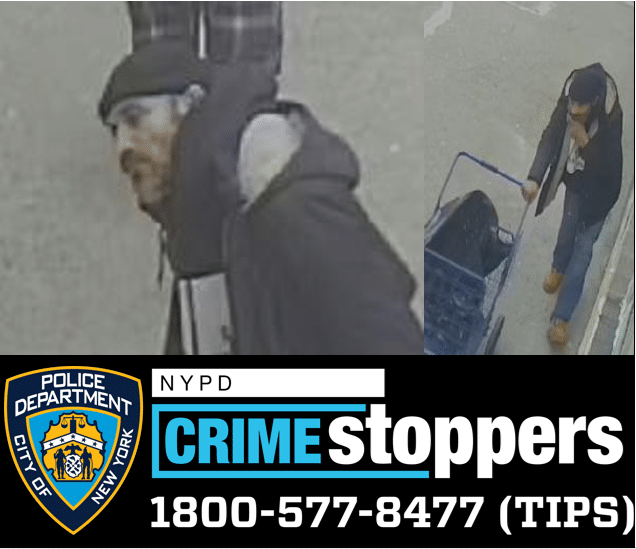 The suspect who stole from an NYPD car on Feb. 1.