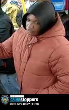678-24 Assault 44 PCT Picture