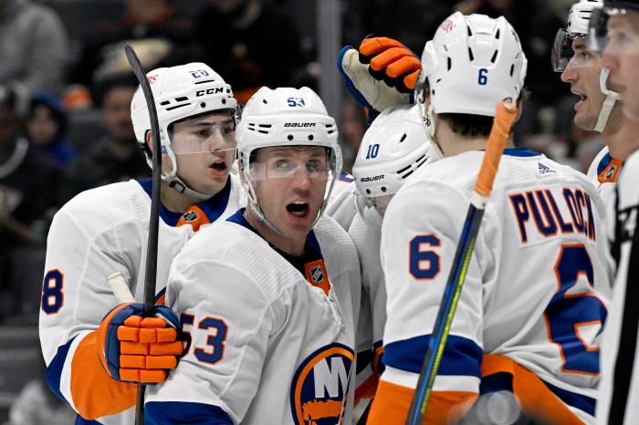 Islanders Cizikas Ducks