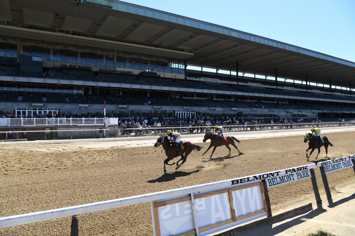 Belmont Park is getting a huge $455 million makeover. Here's what the new racetrack will look like. 8 Horses run past old Belmont Park grandstand