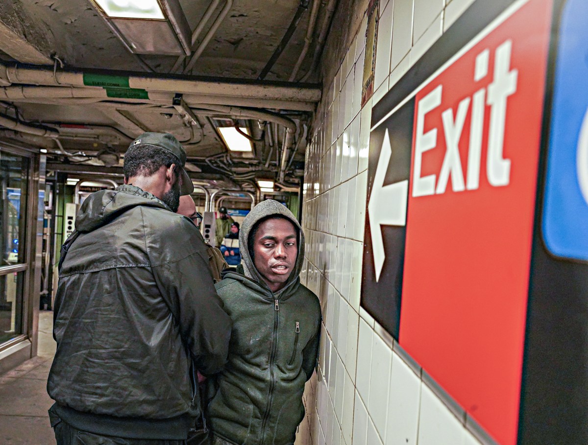 Fare evasion suspect stopped by police