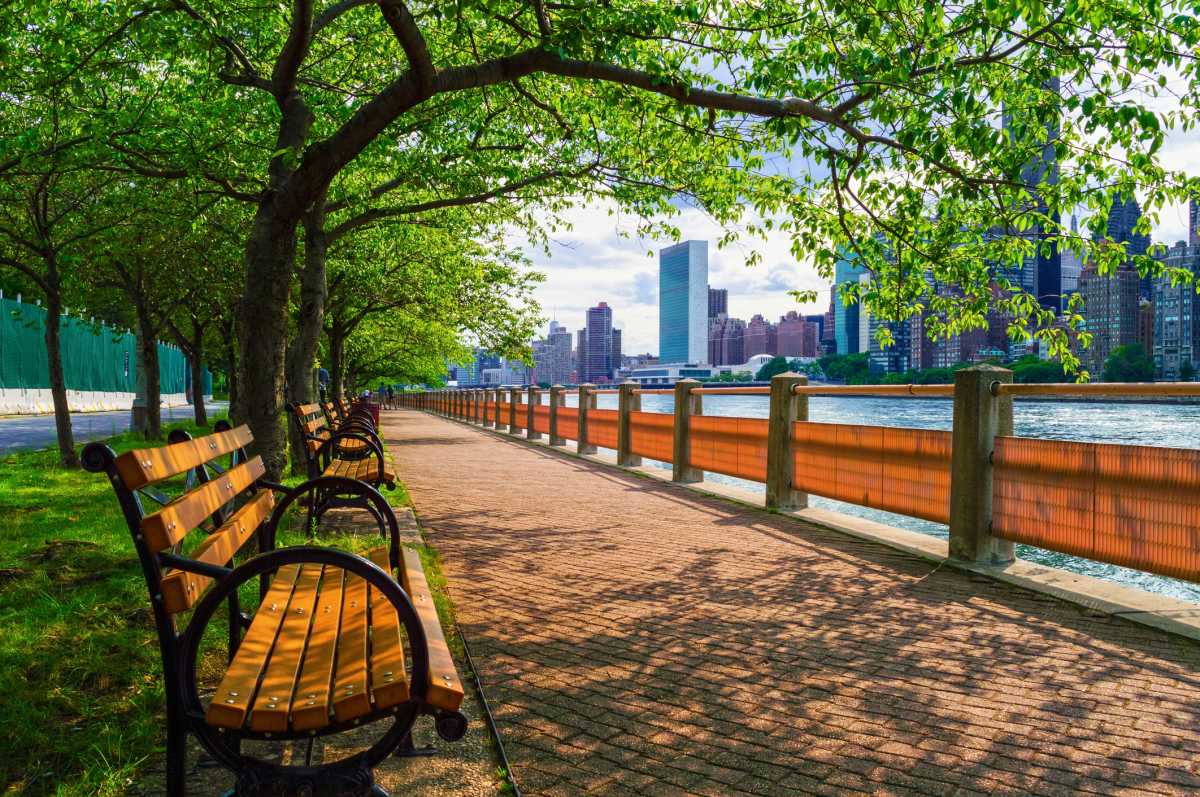 Summer View East River