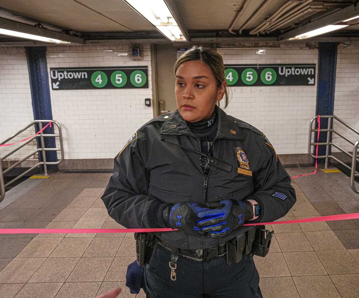 Straphanger stabbed twice aboard L train near Union Square: cops  amNewYork