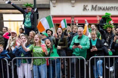 Revelers at St. Patrick's Day Parade in Manhattan