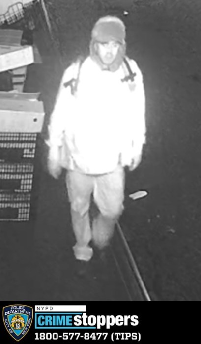 suspect in Chinatown burglary