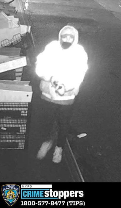 suspect in Chinatown burglary