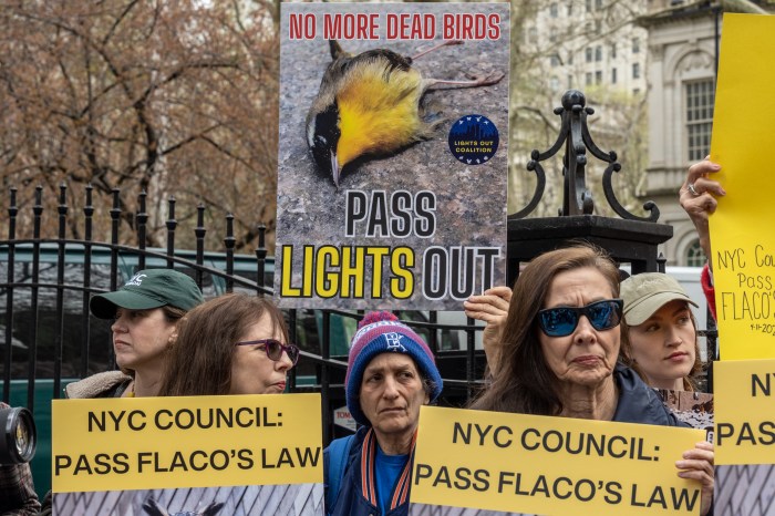 Flaco's Law calls for rat contraception and expansion of Lights Out Law 4 people outside at a rally advocating for Flaco's Law