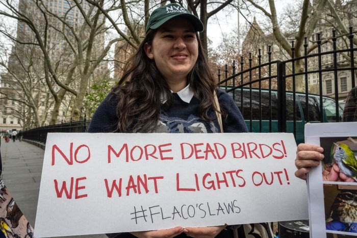 Flaco's Law calls for rat contraception and expansion of Lights Out Law 5 woman holding sign to advocate for law to protect birds