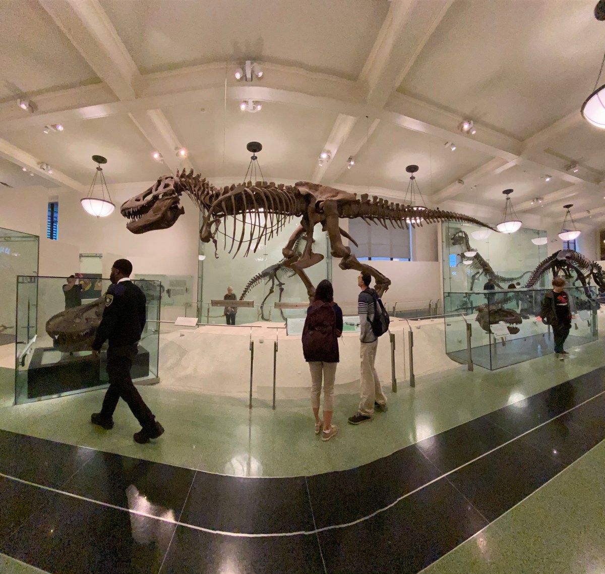 Museum of Natural History will serve early voting site on the West Side