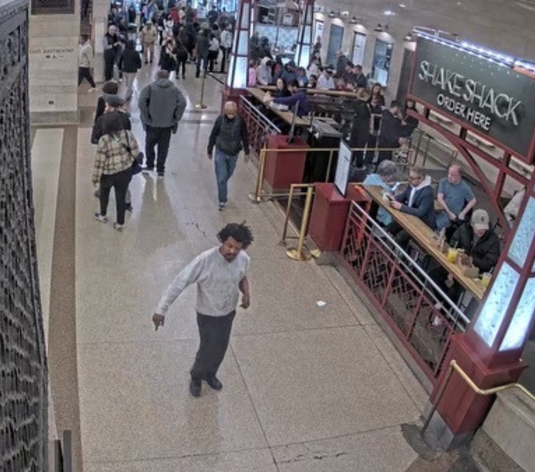 Unhinged man who allegedly punched 9-year-old girl at Grand Central Terminal had been released on assault charge days earlier 7