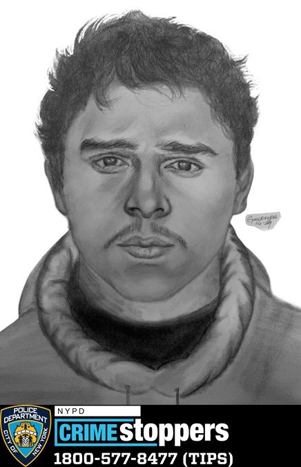 rapist in Bronx park