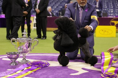 NEW YORK, NEW YORK - MAY 14: Dog handler Kaz Hosaka and Sage, Best in Show and Non-Sporting Group winner pose during the 148th Annual Westminster Kennel Club Dog Show - Best In Show at Arthur Ashe Stadium on May 14, 2024 in Queens, New York.