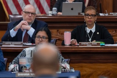 NYC Council members at budget hearing