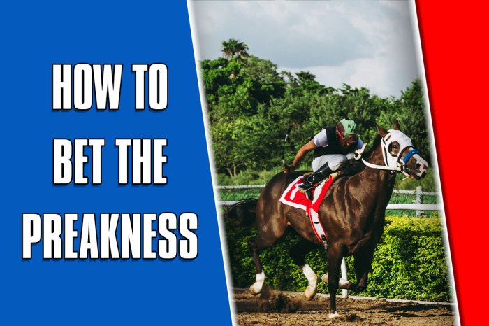 How to bet the Preakness