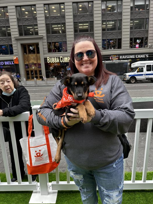 Pets find 'fur-ever' homes at Best Friends Animal Society's pop-up playpen in Times Square 3