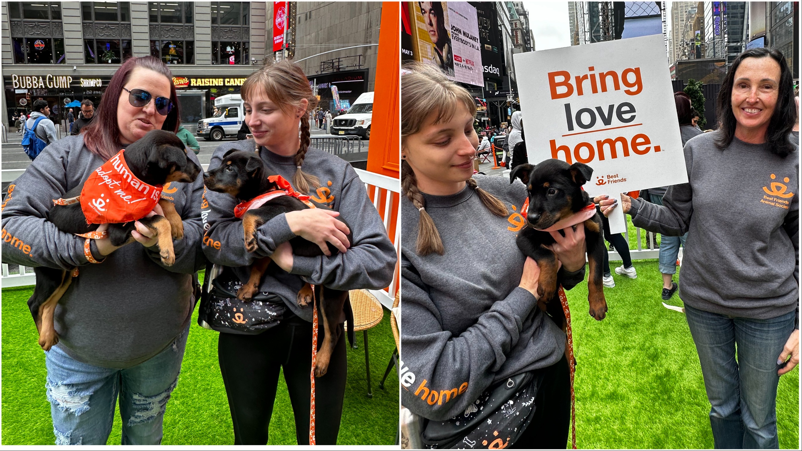 Pets find ‘fur-ever’ homes at Best Friends Animal Society’s pop-up playpen in Times Square
