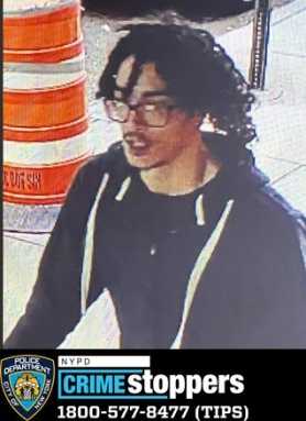photo of suspect wearing glasses and mostly dark clothes wanted for stealing cameras in Central Park