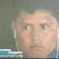 Sicko sought for Staten Island groping