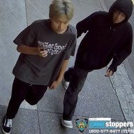 Lower East Side suspects behind bat attack