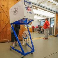 Primary voter with dog
