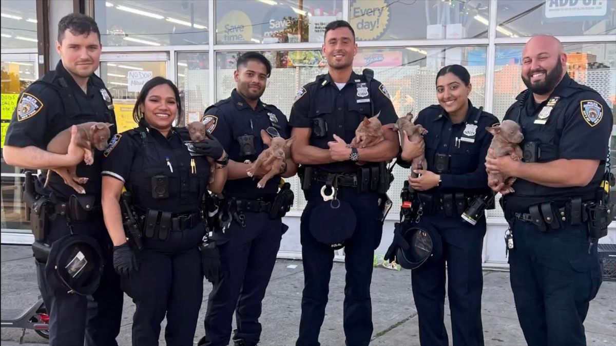 Queens cops rescue puppies bound in sack: 'These dogs would have been dead in 5 minutes' 3