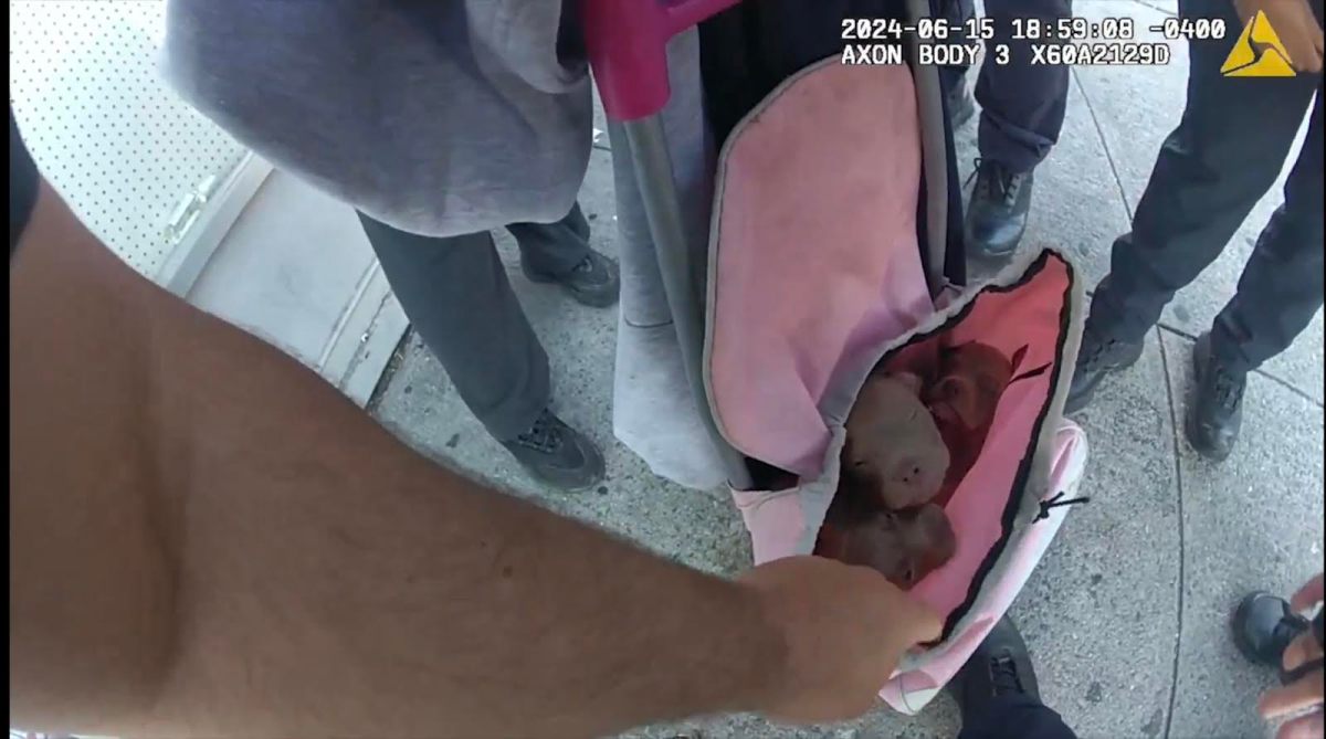Queens cops rescue puppies bound in sack: 'These dogs would have been dead in 5 minutes' 2